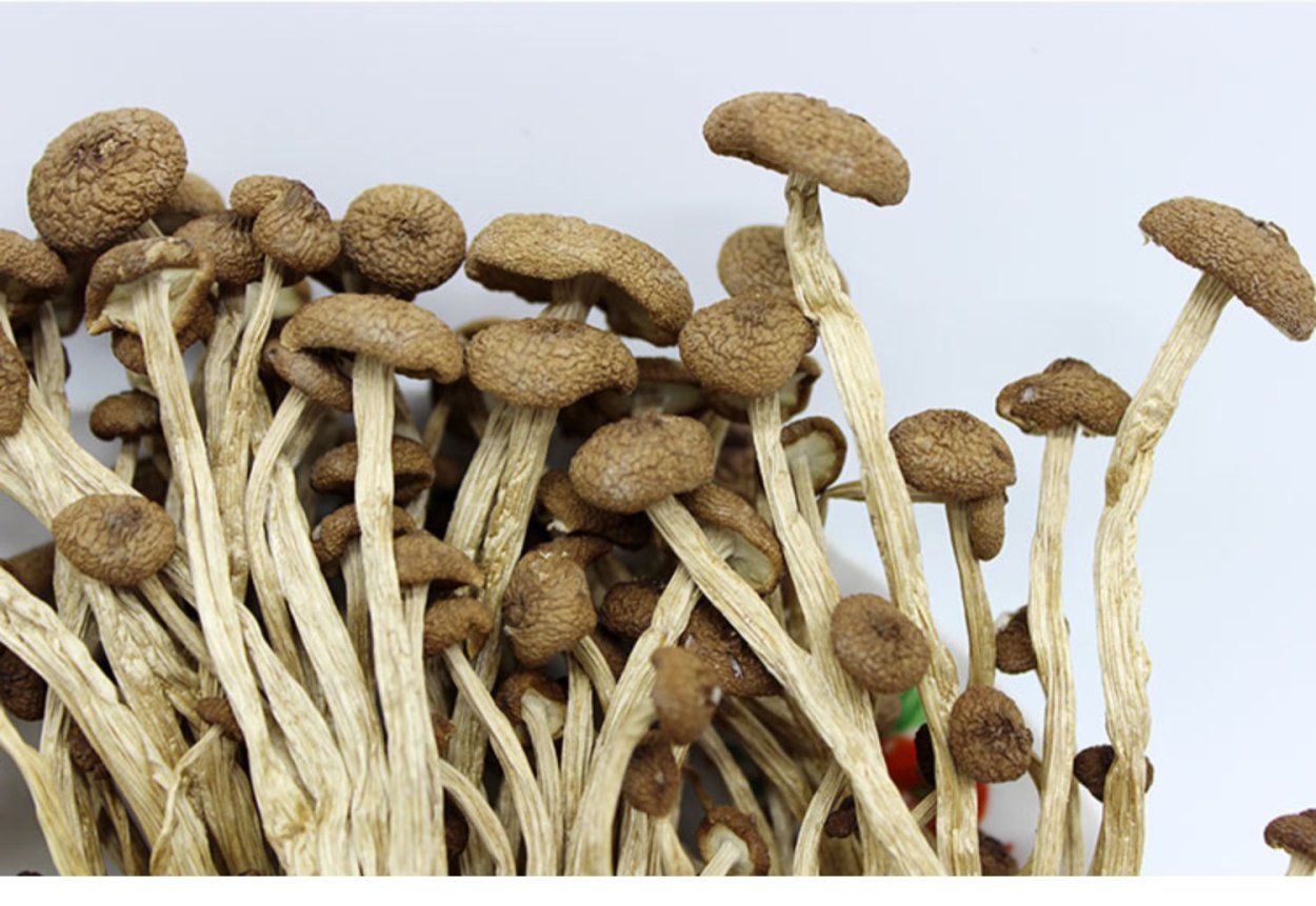 Грибы 500 г древесные