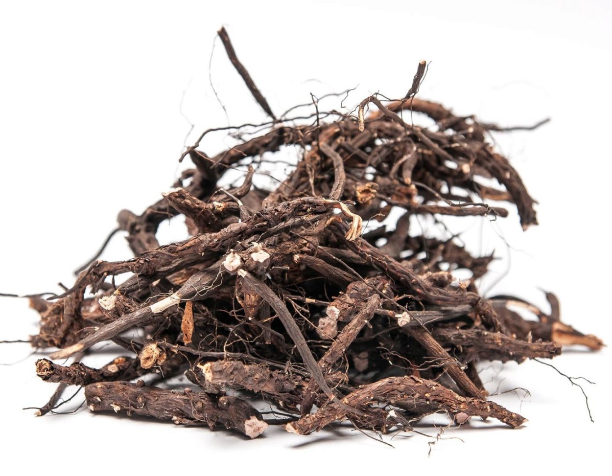 Лапчатка белая корень