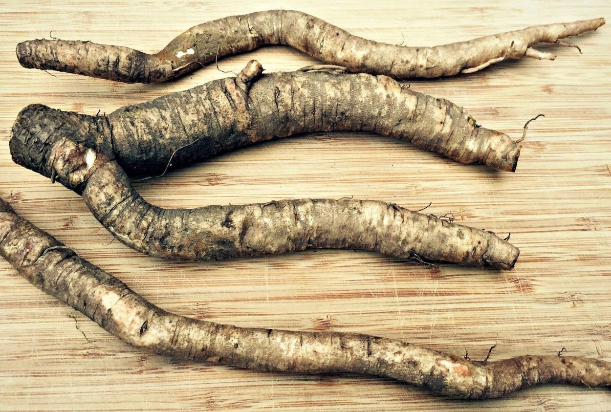 Burdock (корень лопуха)