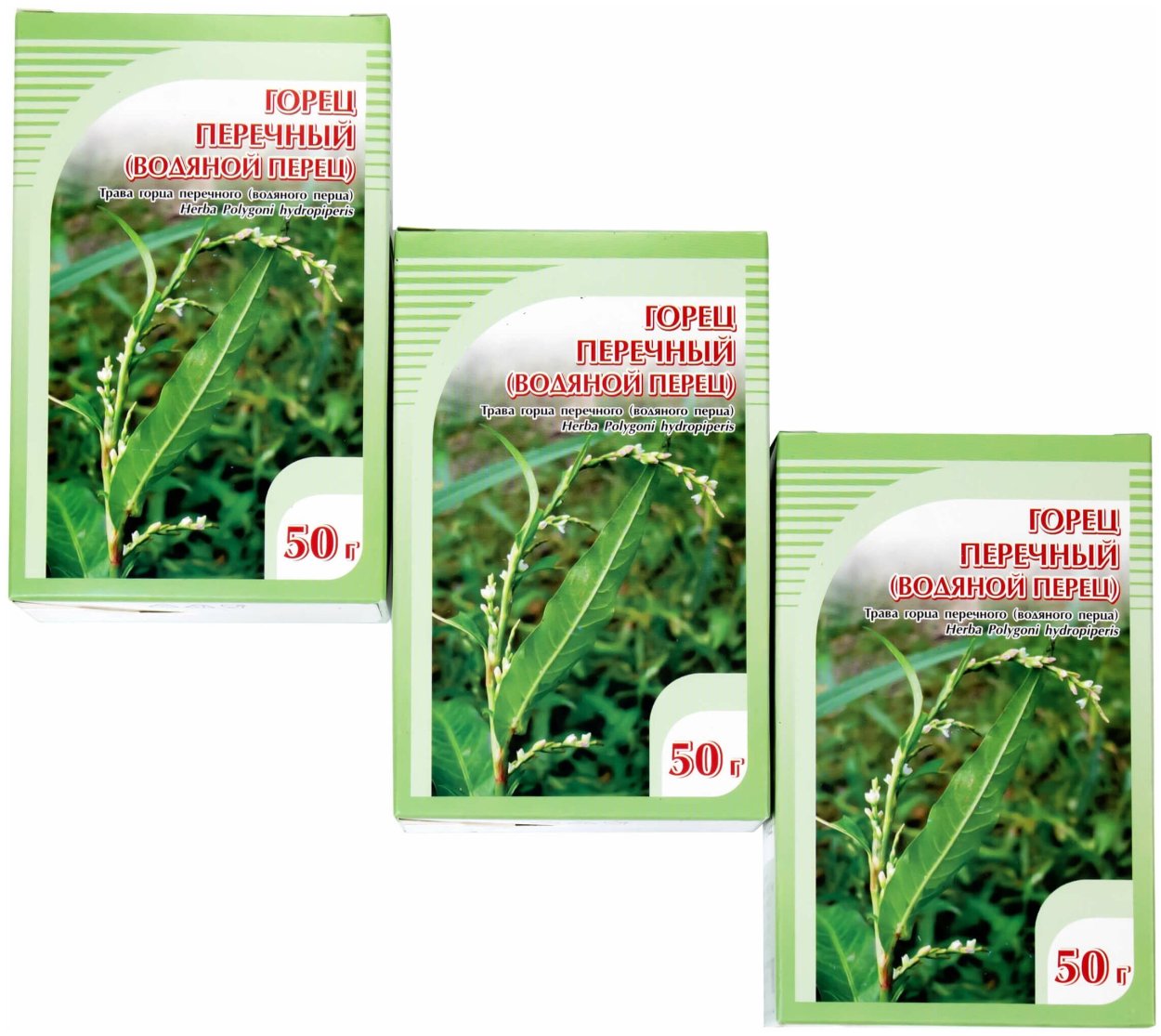 Горец перечный – Persicaria hydropiper