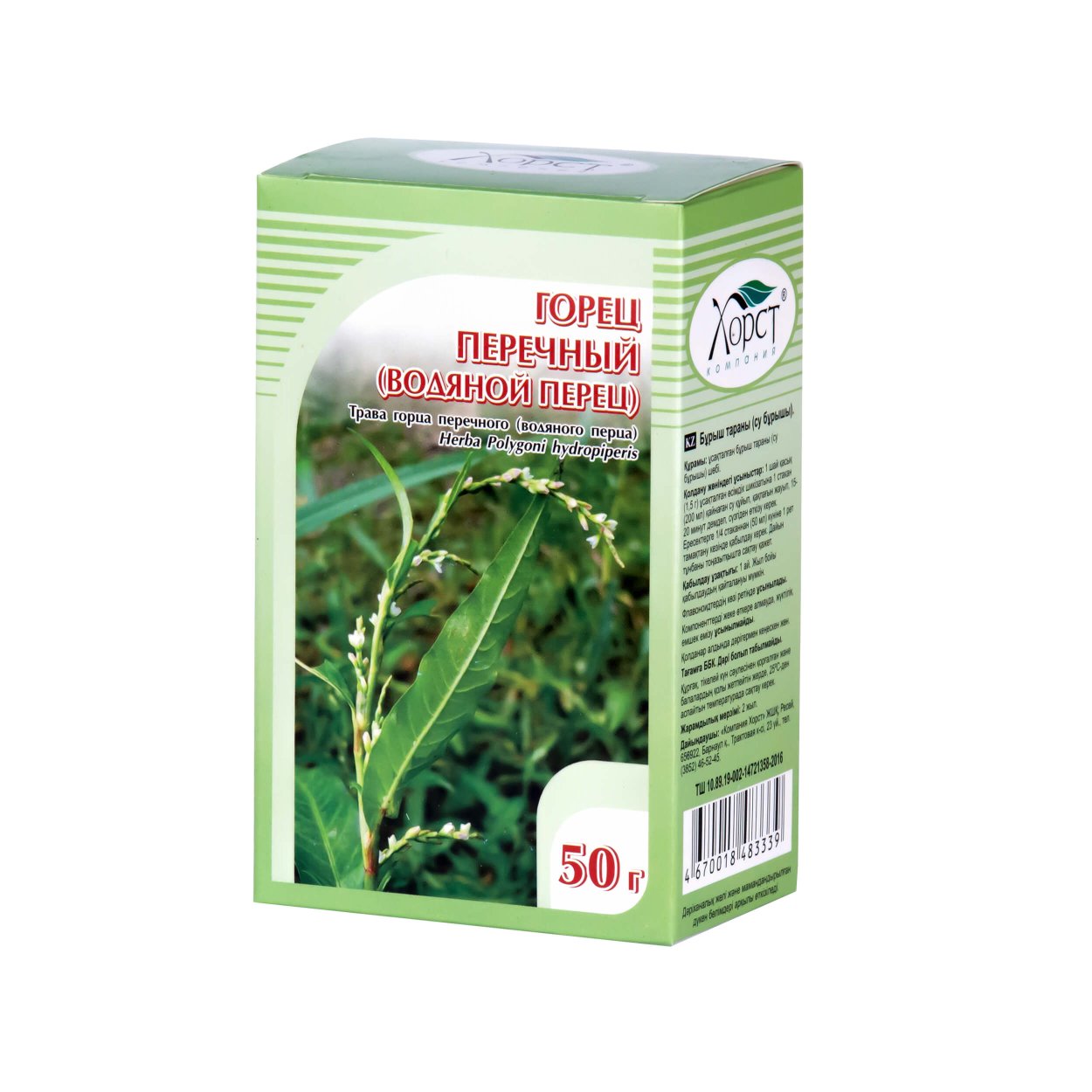 Заболоченный пруд