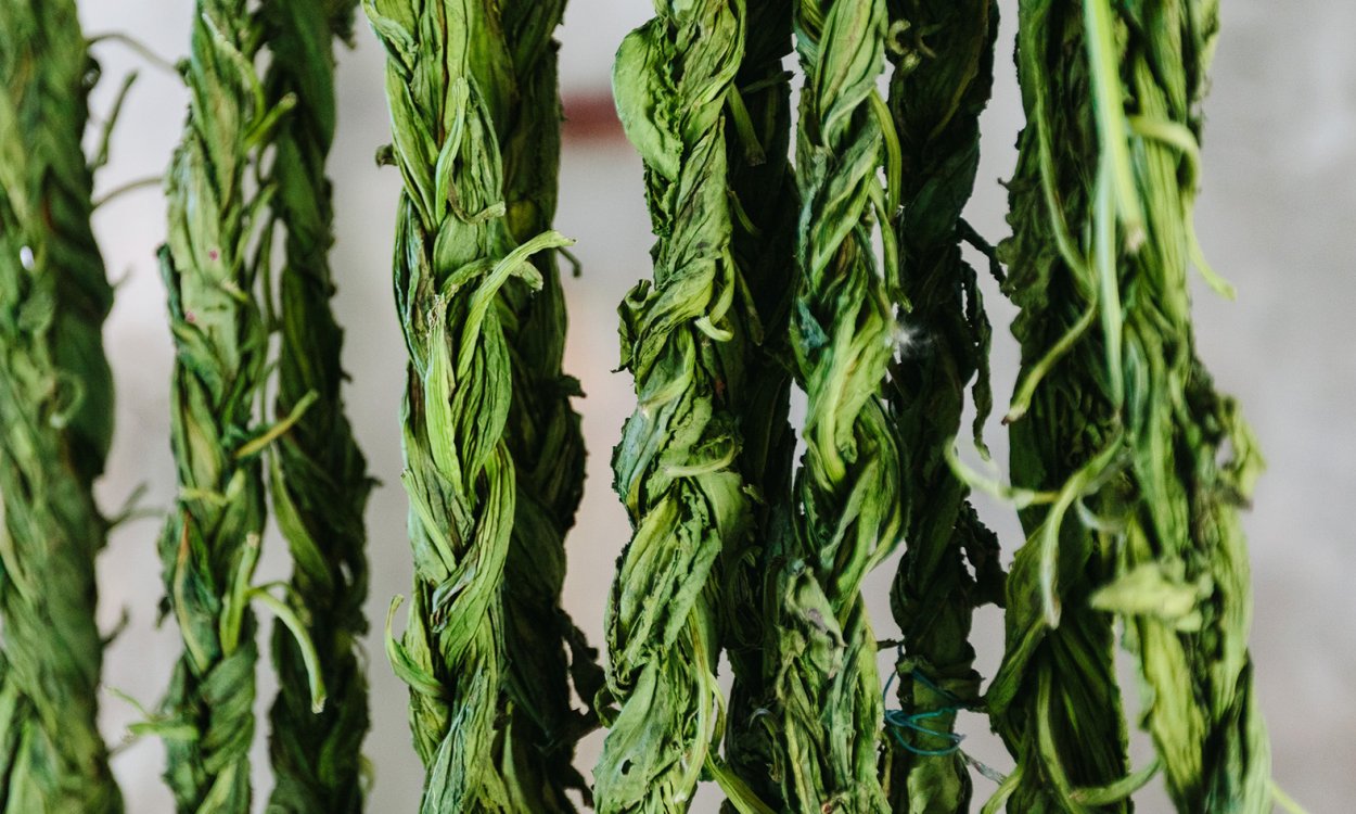 Авелук армянская