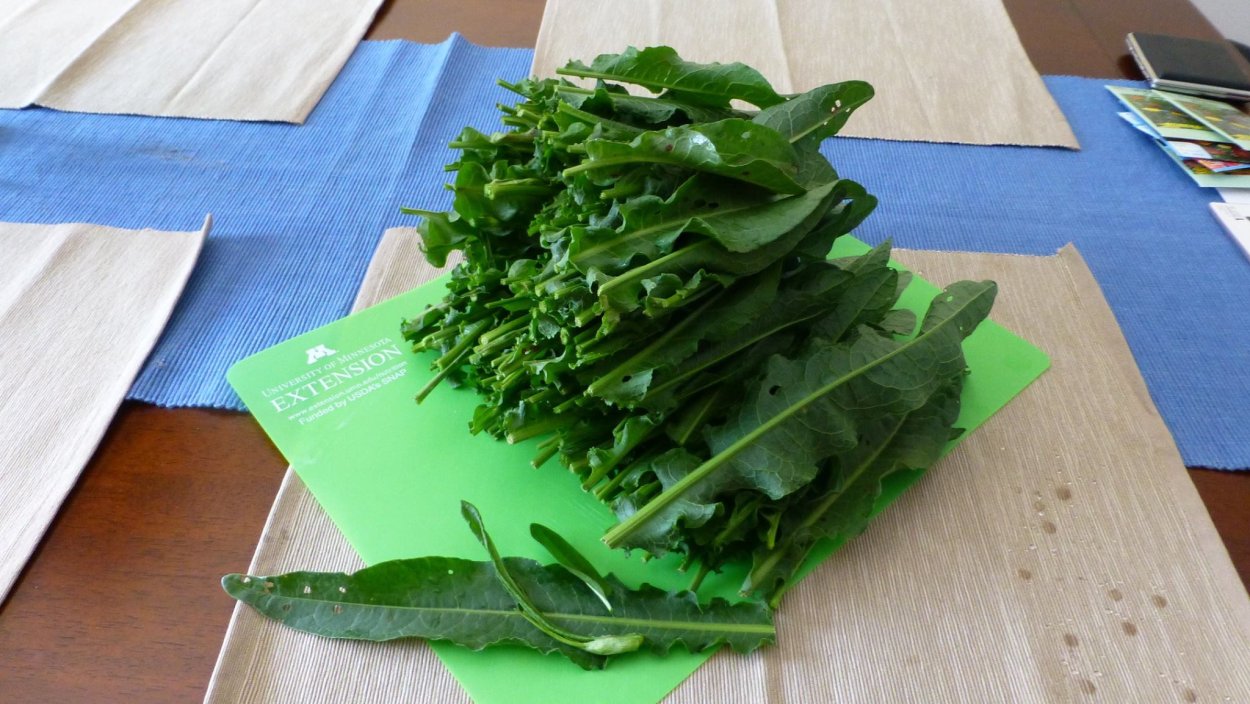 Сушеный щавель