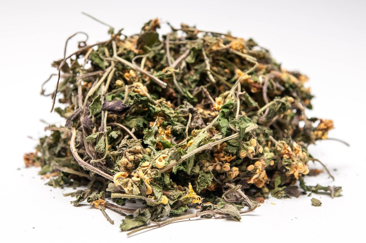 Зубровка Sweetgrass