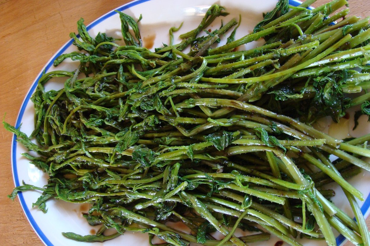 Липа, зверобой, чабрец, Мелисса, мята