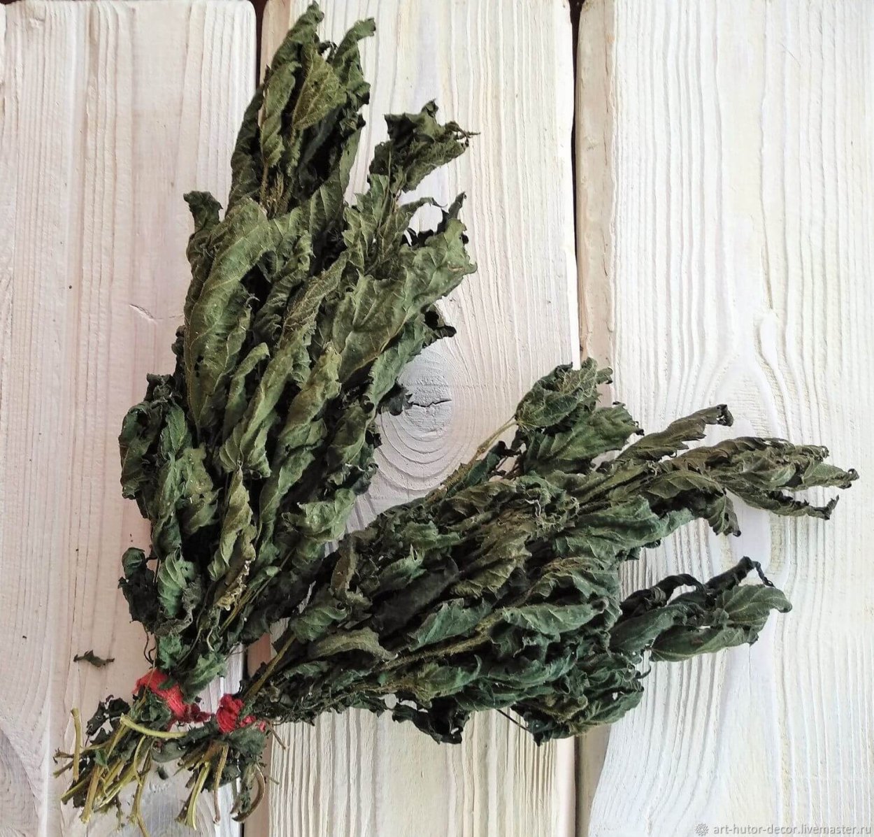 Щавель изумрудный Король