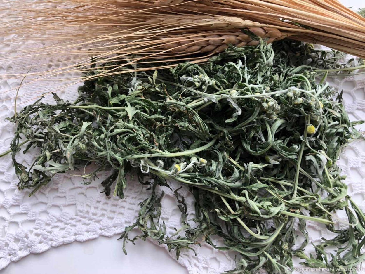 Спайс шалфей