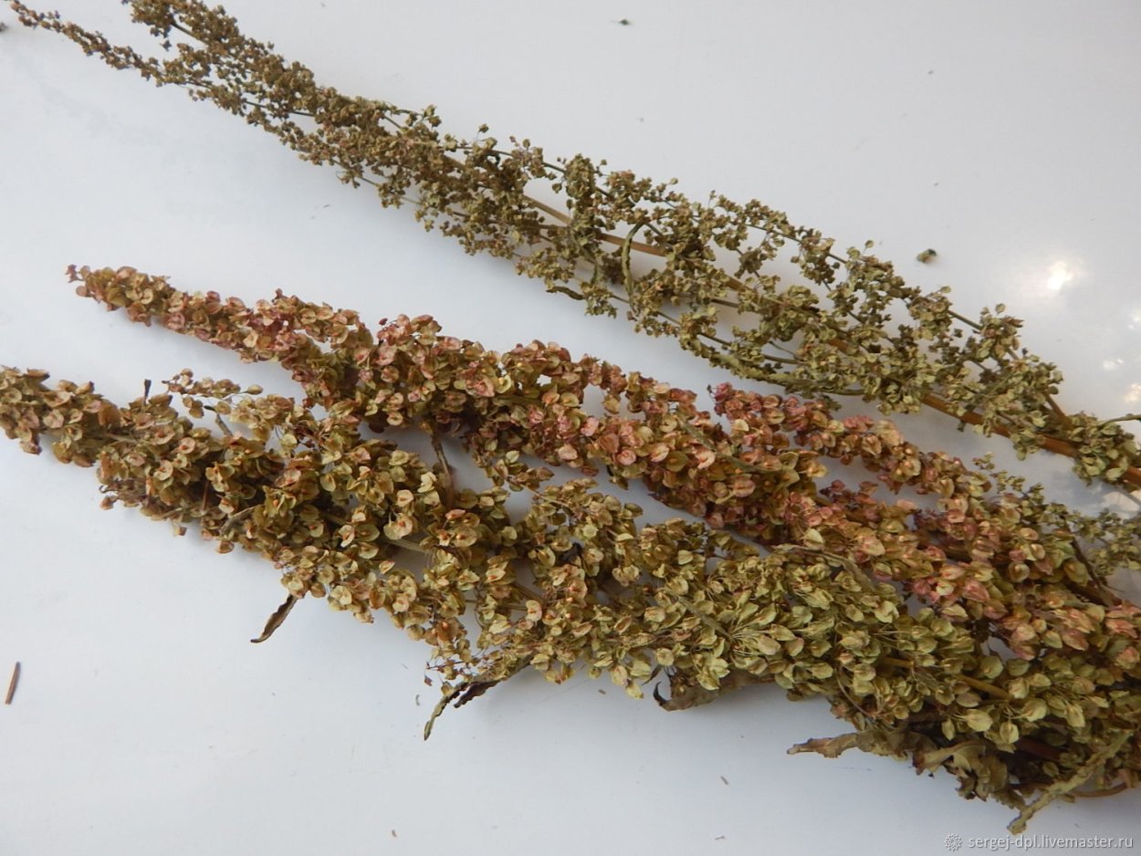 Чай россыпью