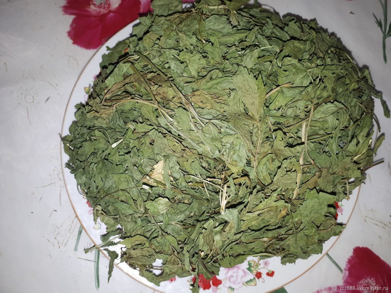 Блюда с крапивой