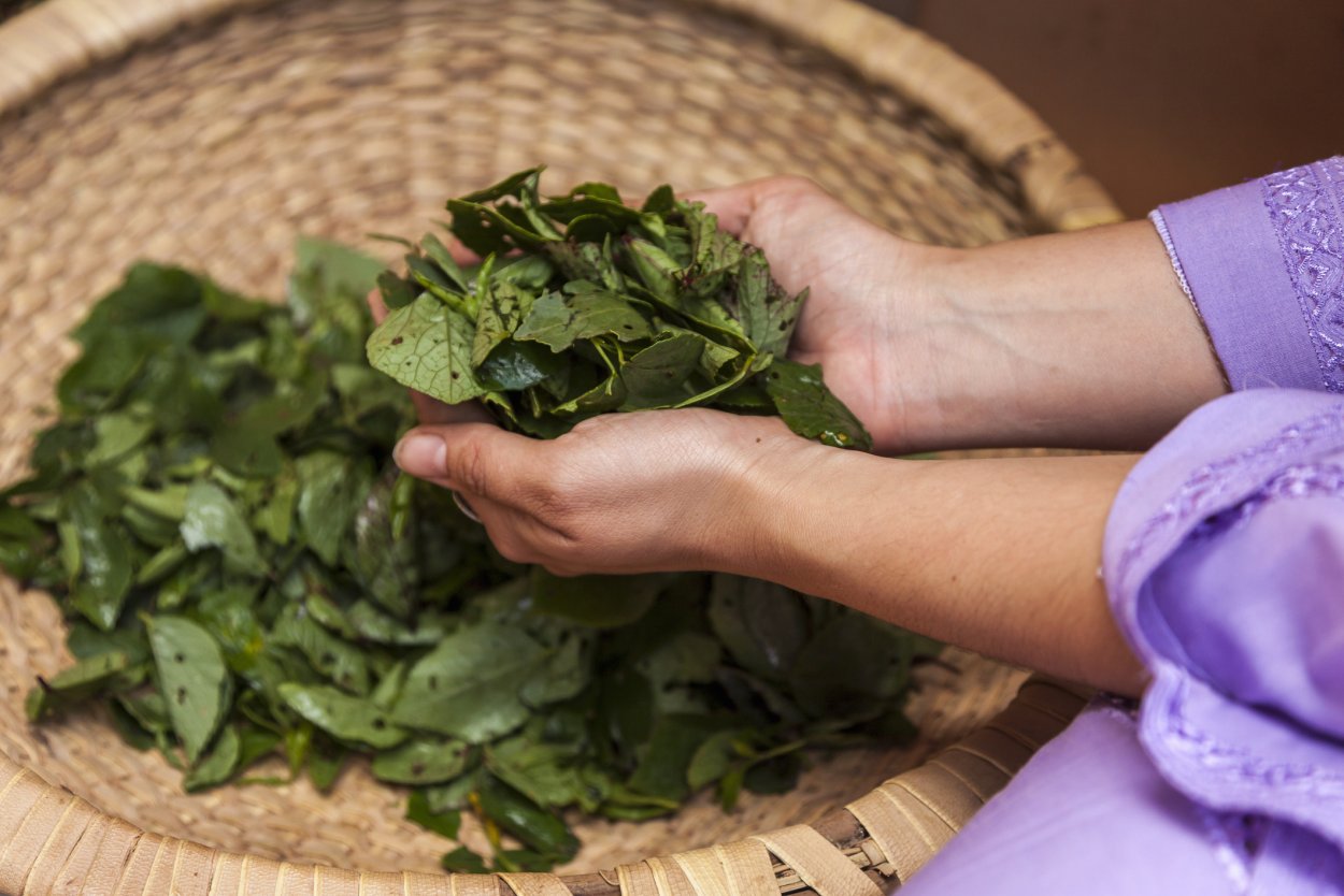 Амарант сухоцвет