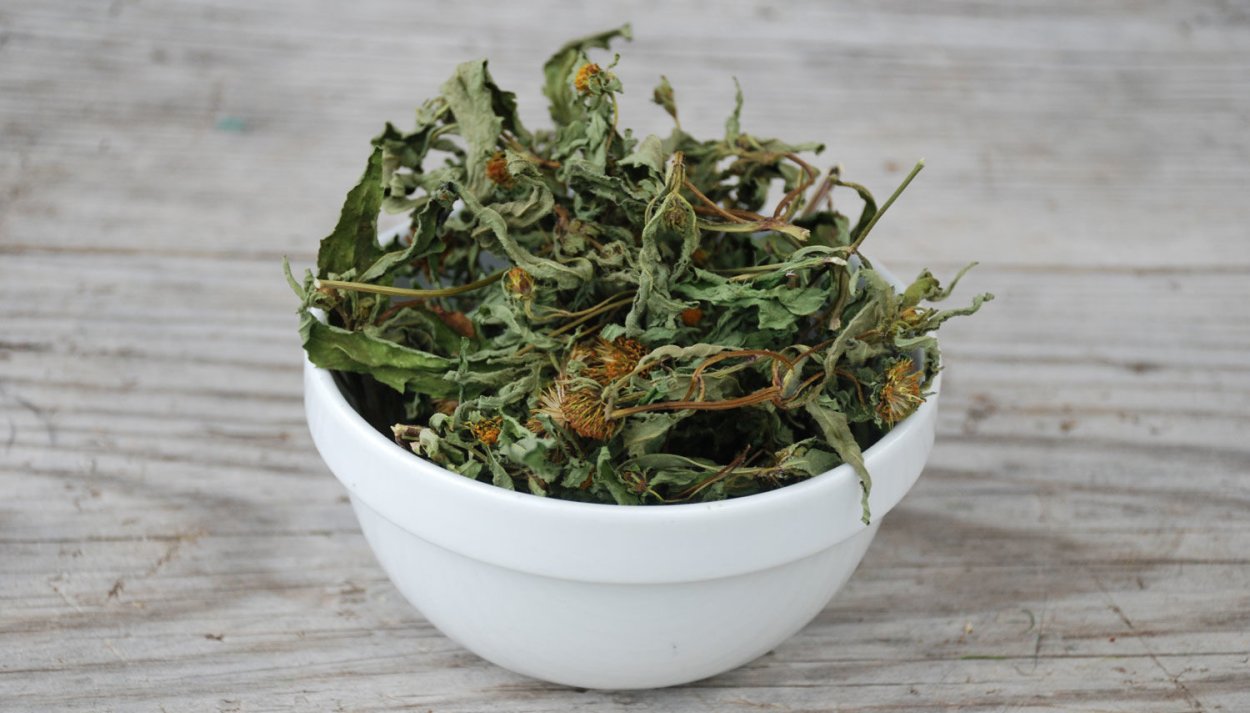 Турецкая трава adacayi