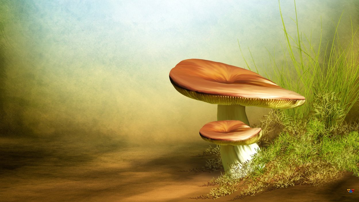 Красивый лес с грибами и ягодами