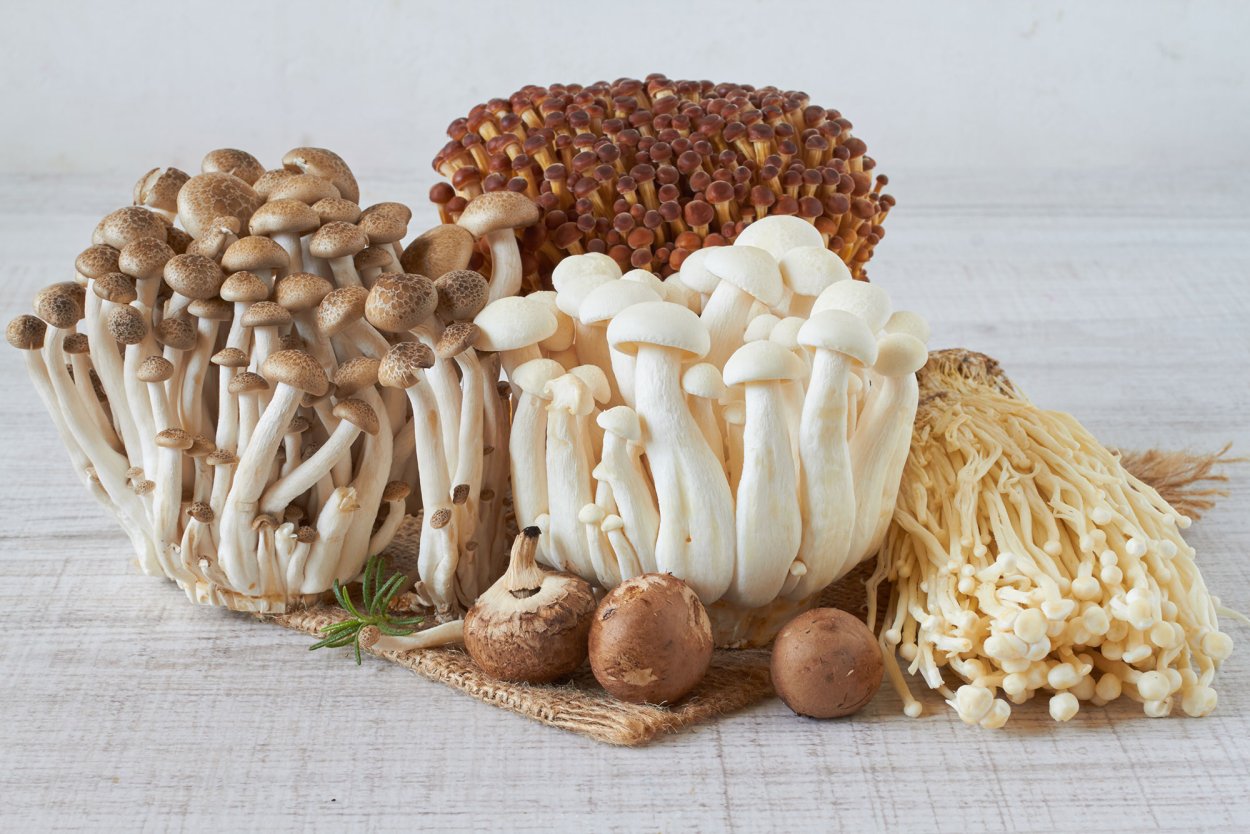 Эринги Эноки