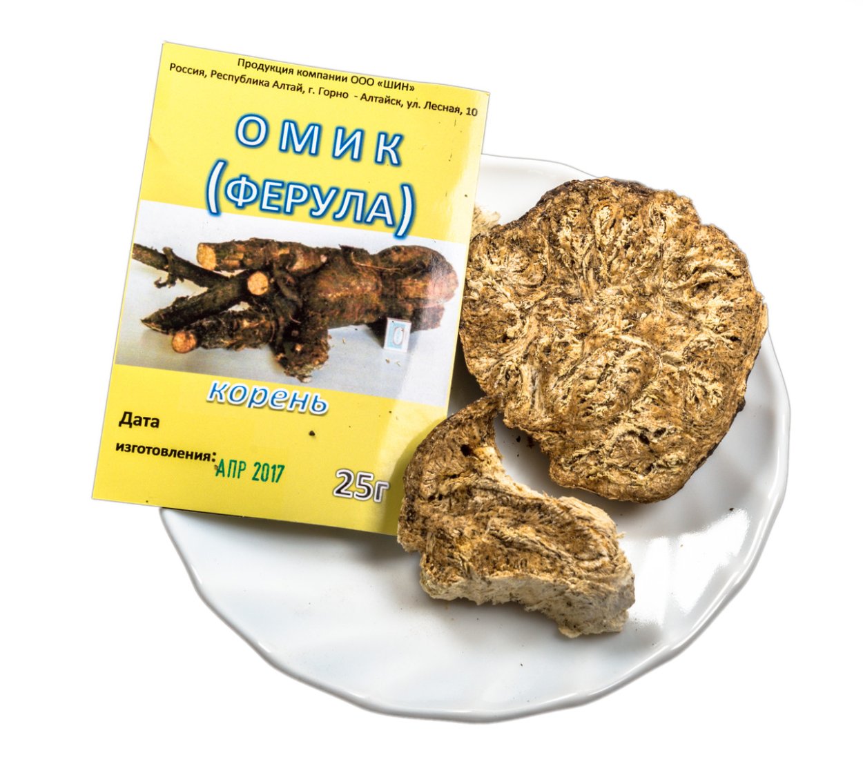 Ферула растение