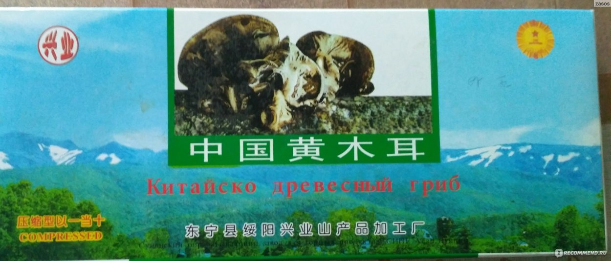 Фламулина зимний опёнок