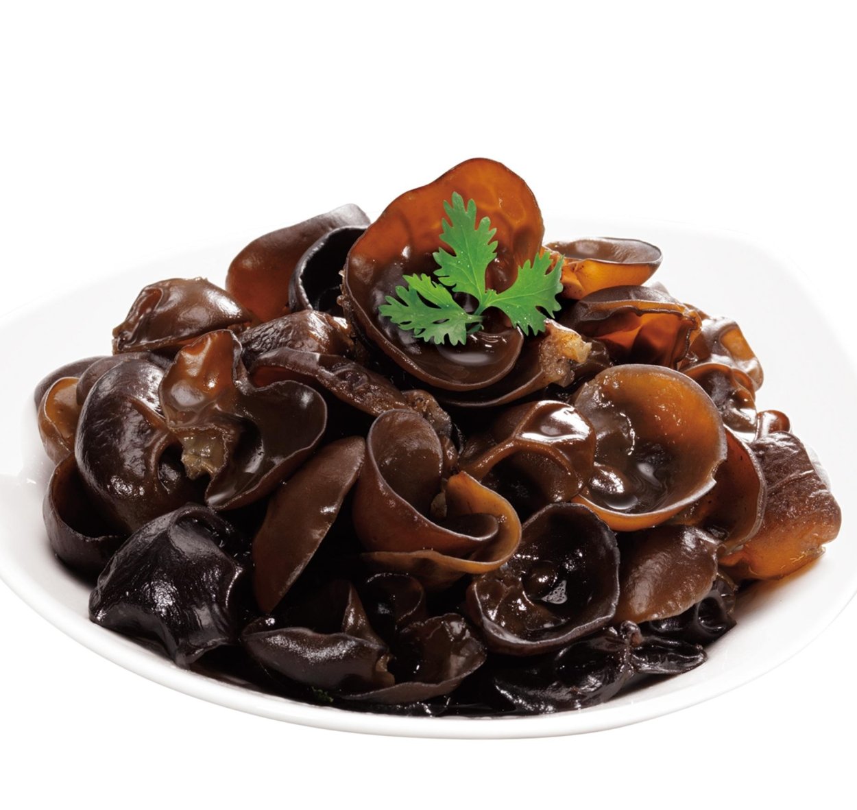 Грибы древесные черные прессованные