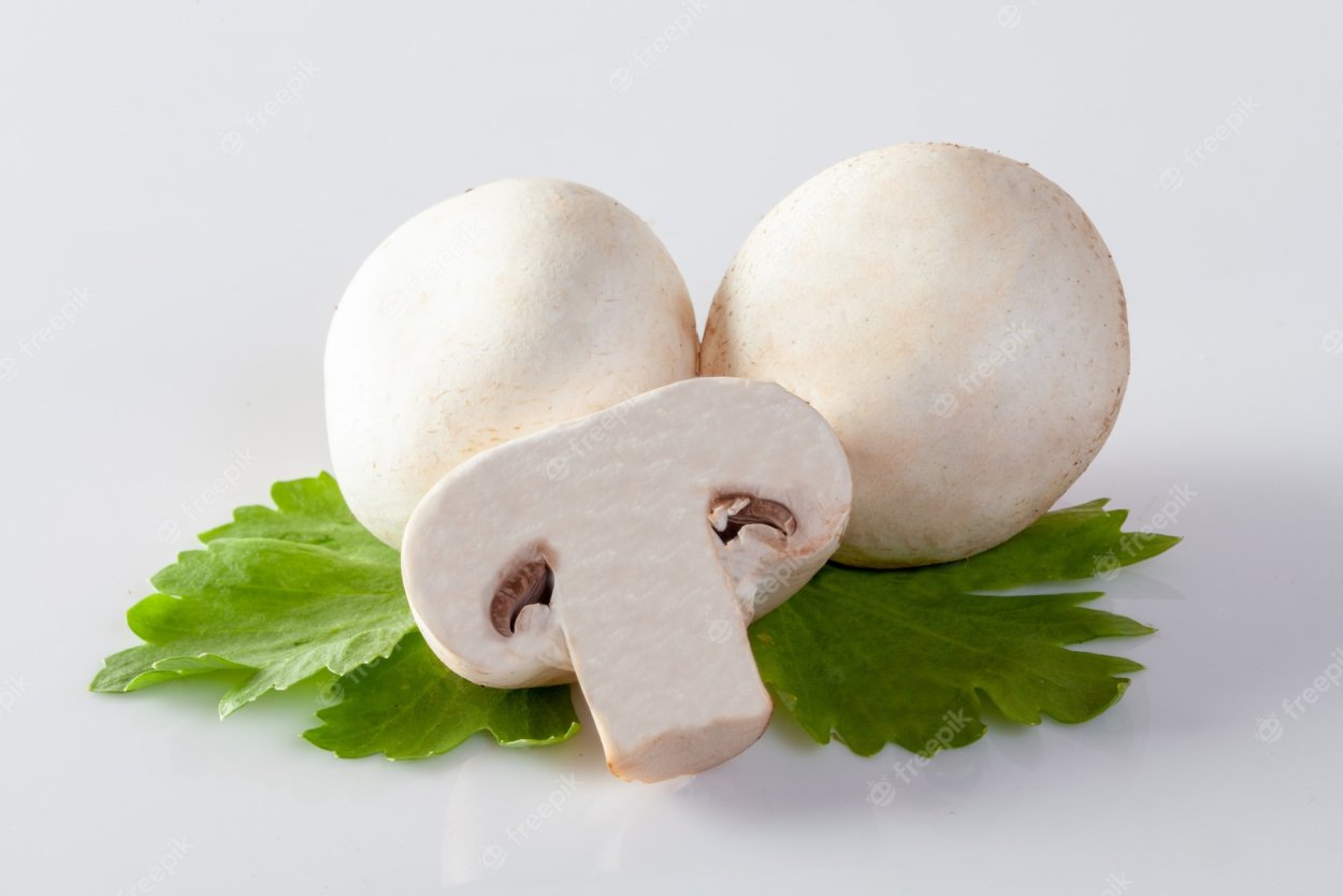 Эноки, энокитаке