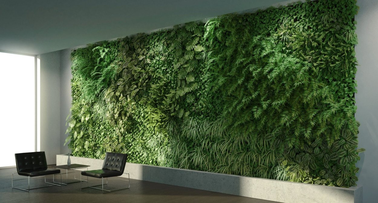 Фитостена из стабилизированного мха и растений