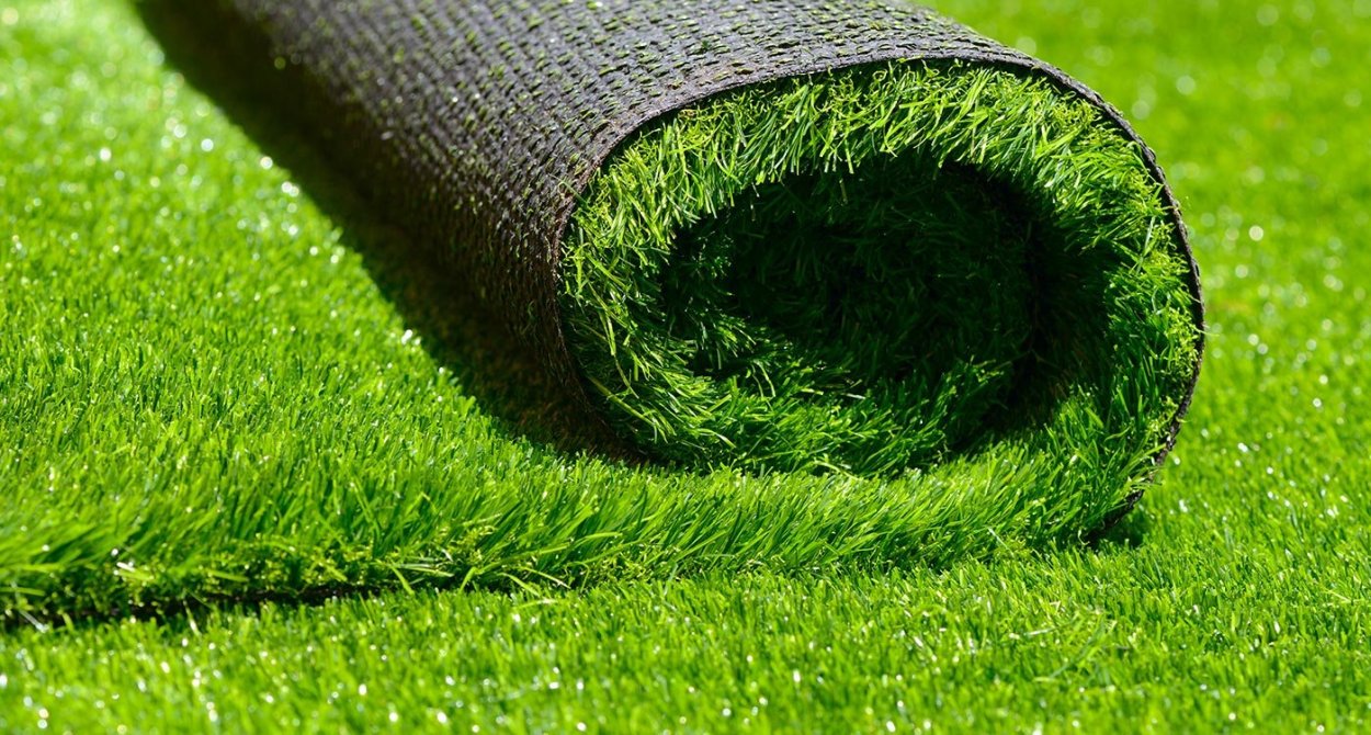 Мох ягель зеленый