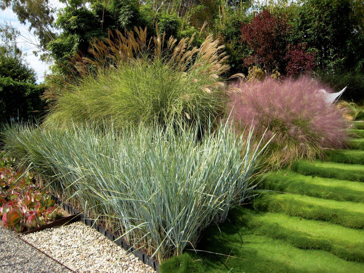 Пит Удольф хосты