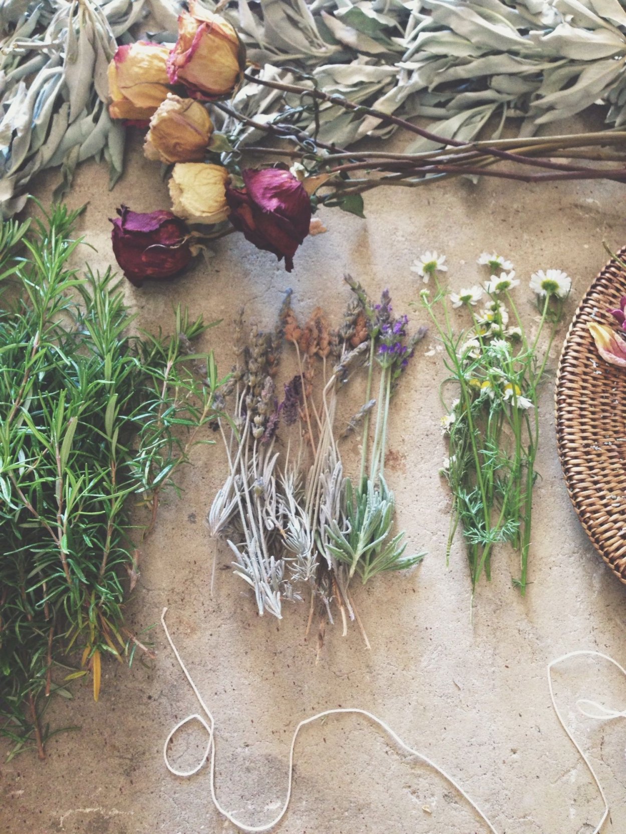 Ведьмины травы пучок