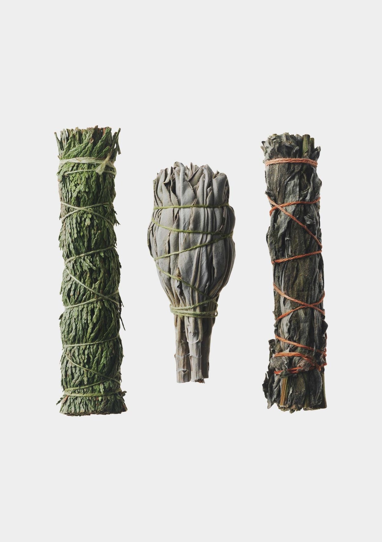 Ведьминские пучки трав