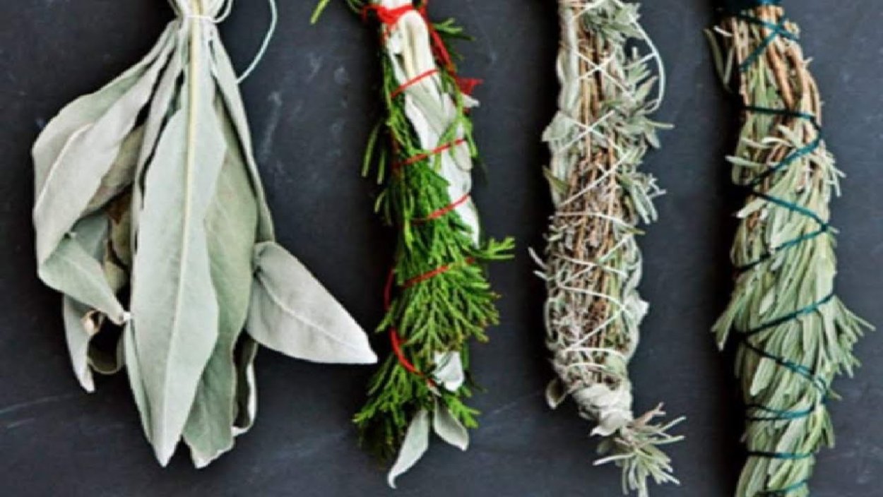 Травы от нечистой силы