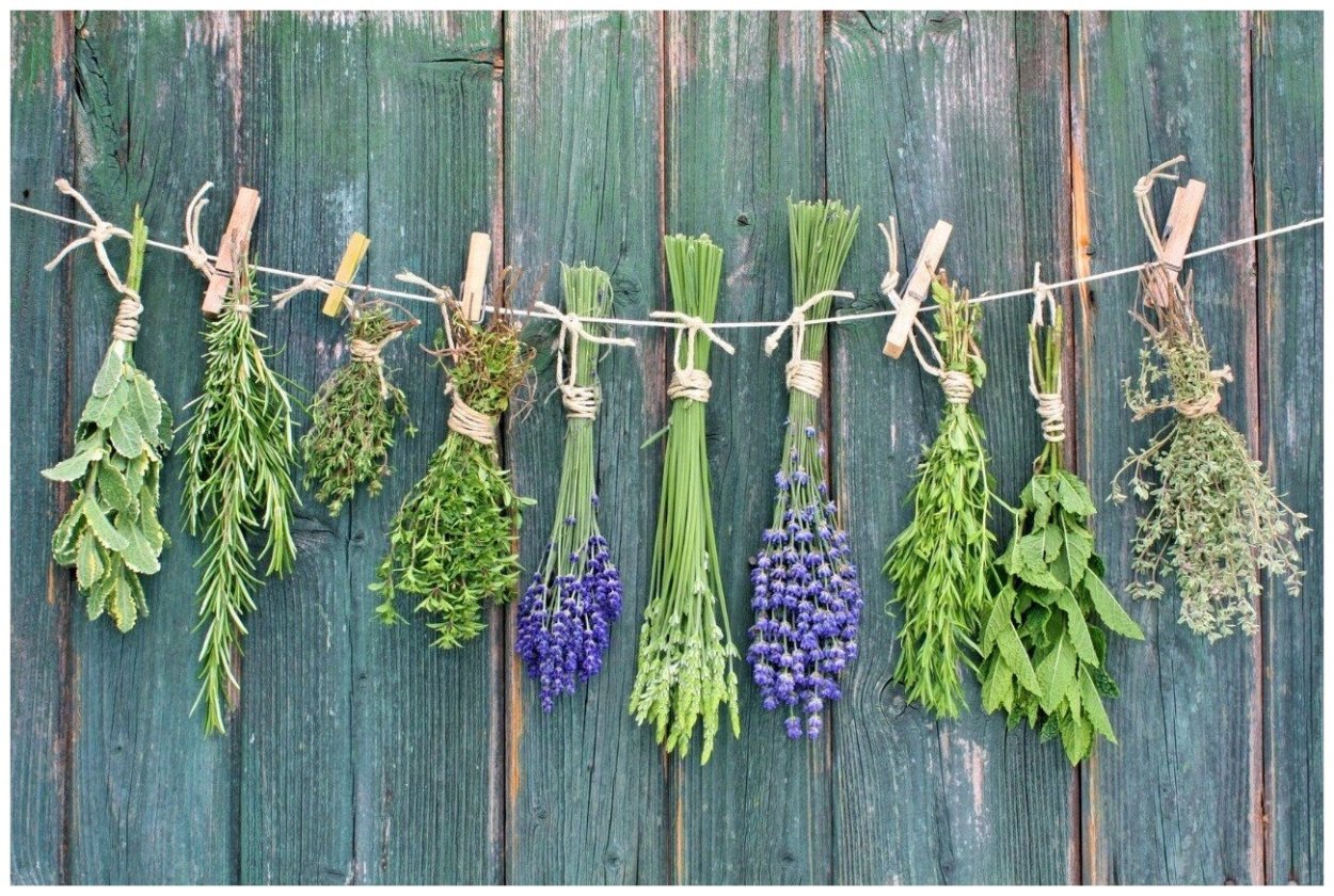 Сушеные травы и цветы