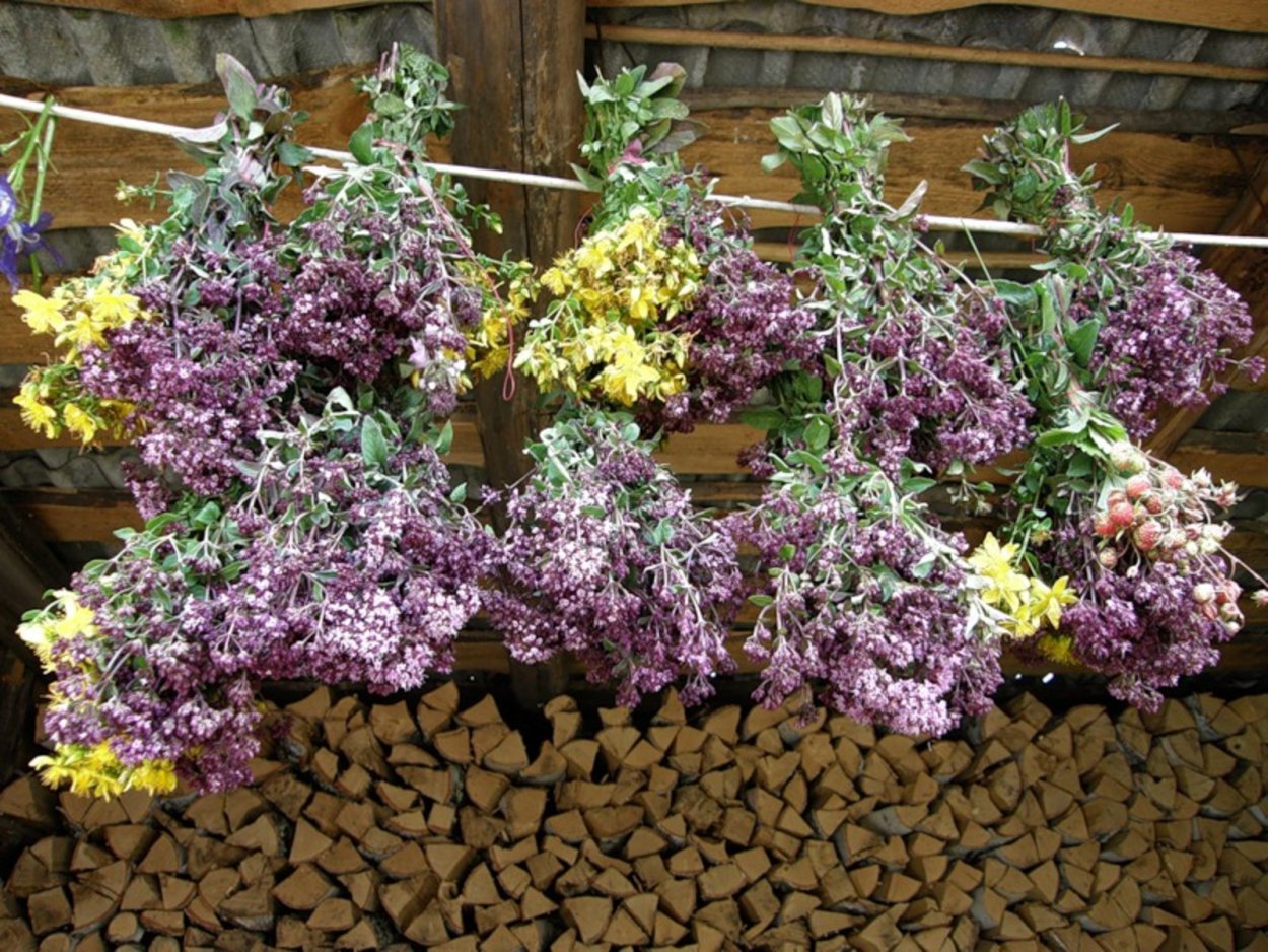 Тархун майоран