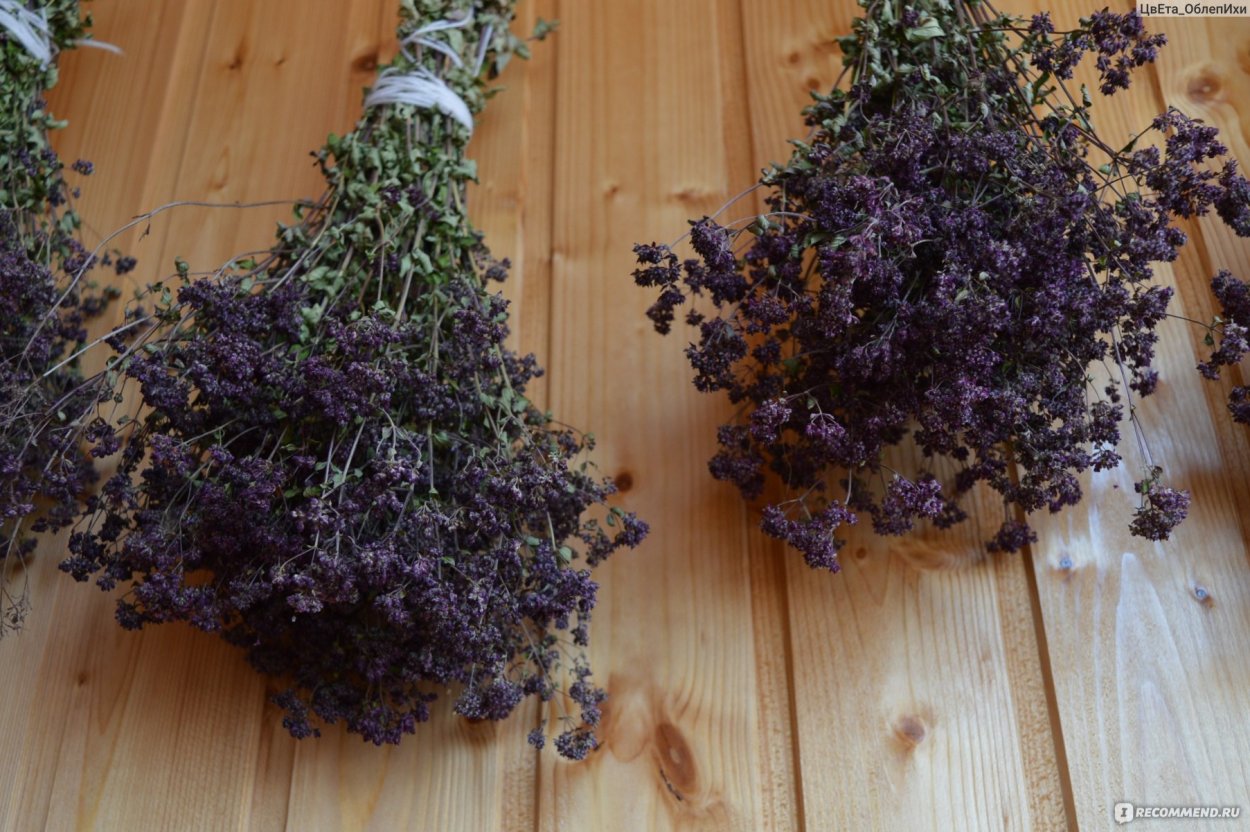 Пучок травы