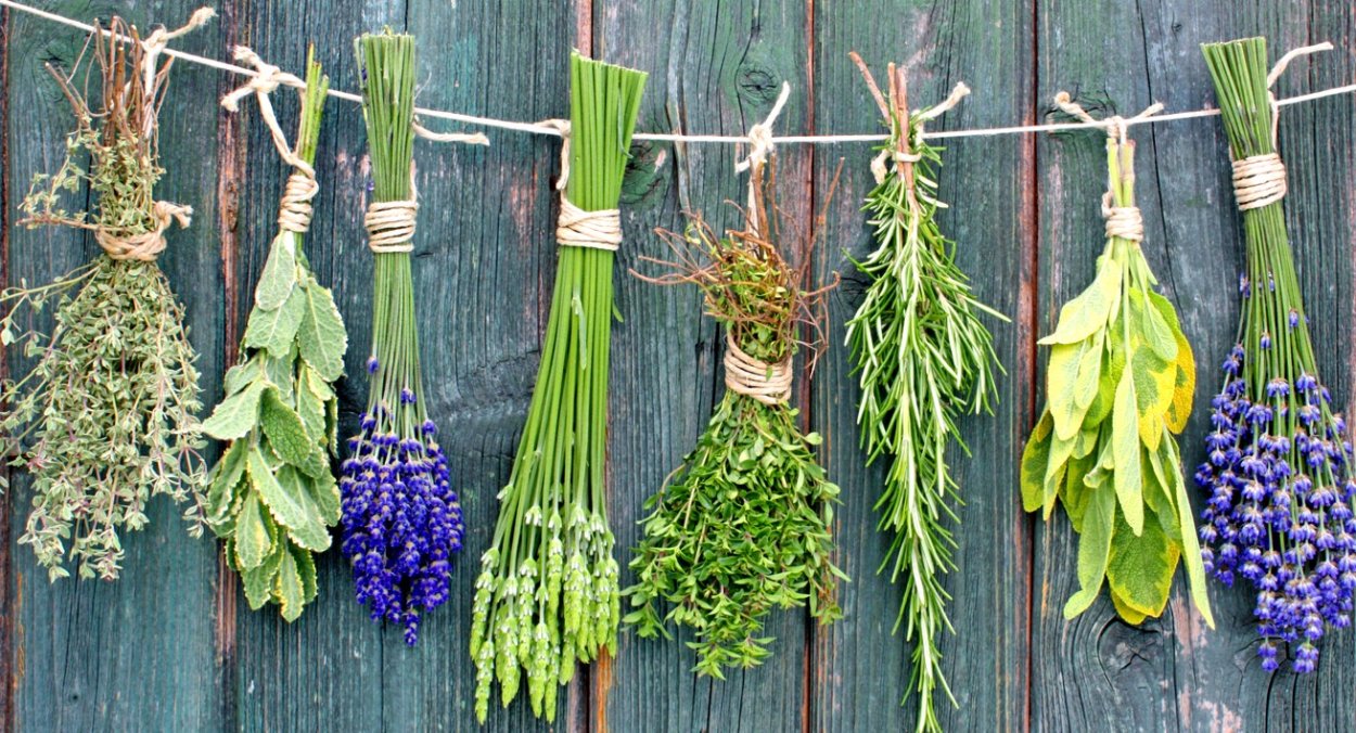 Сочетание трав для чая таблица