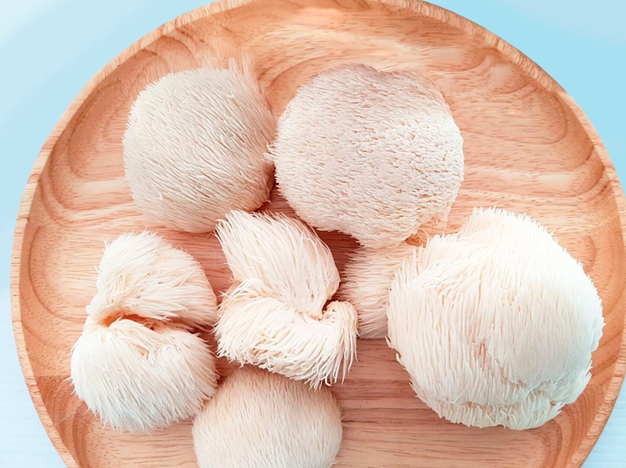 Ежевик гребенчатый Mushrooms