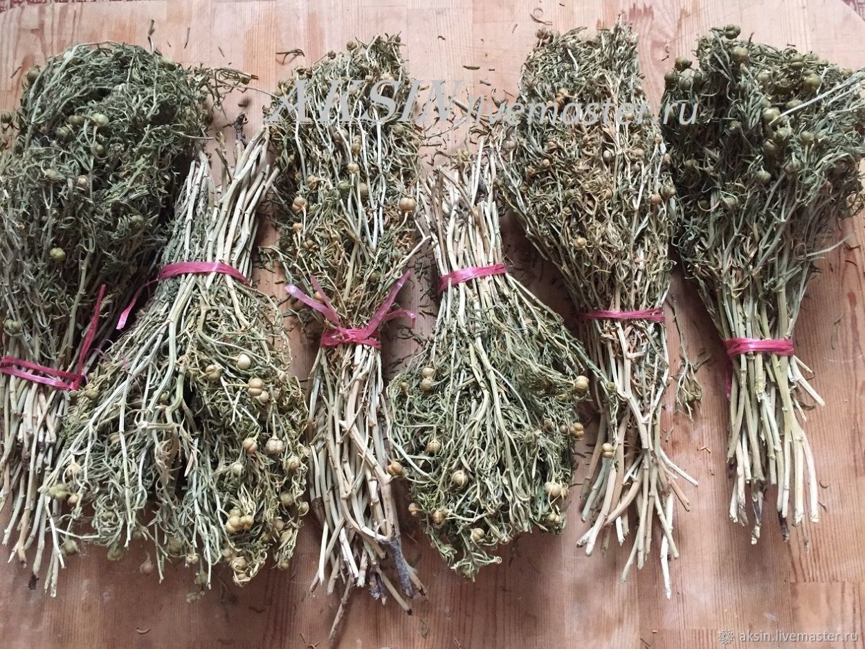 Гармала могильник