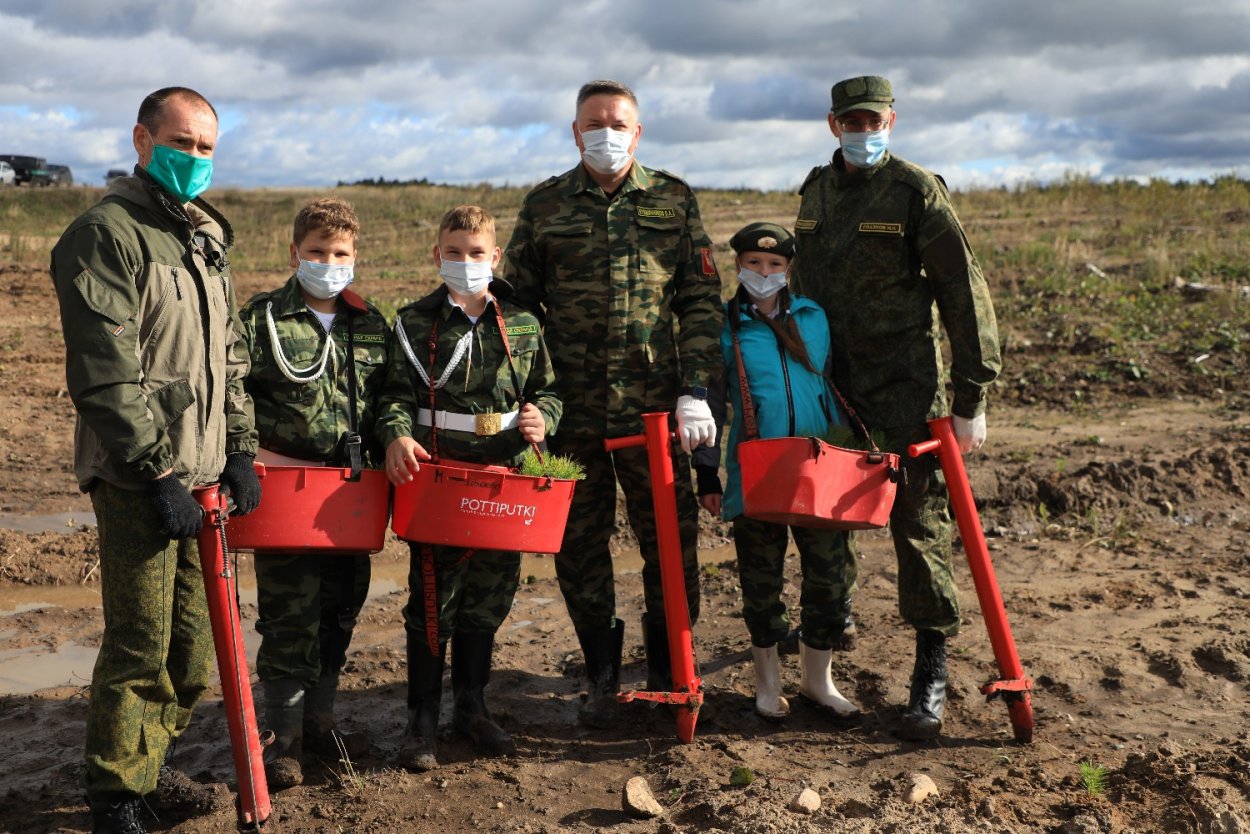 Сохранение лесов Вологда