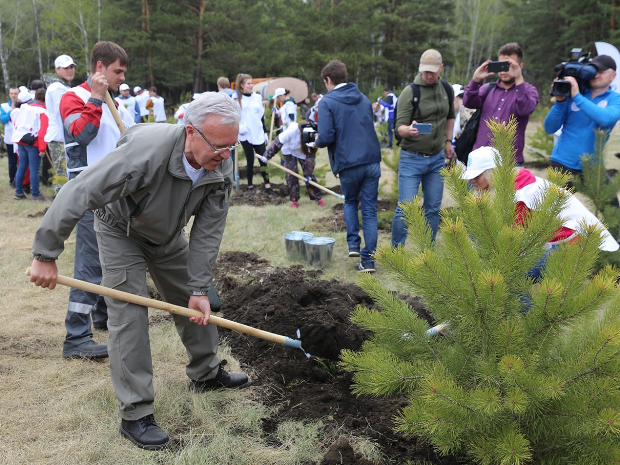 Енисейское лесничество Красноярского края