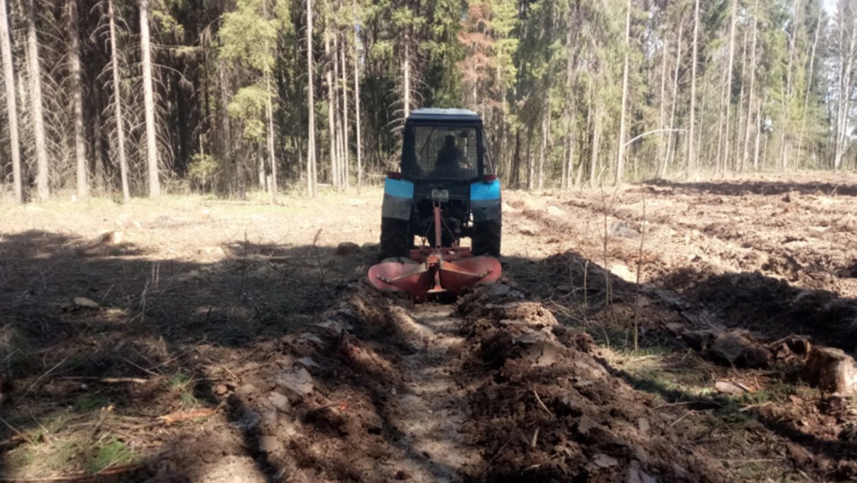 Подготовка почвы под Лесные культуры