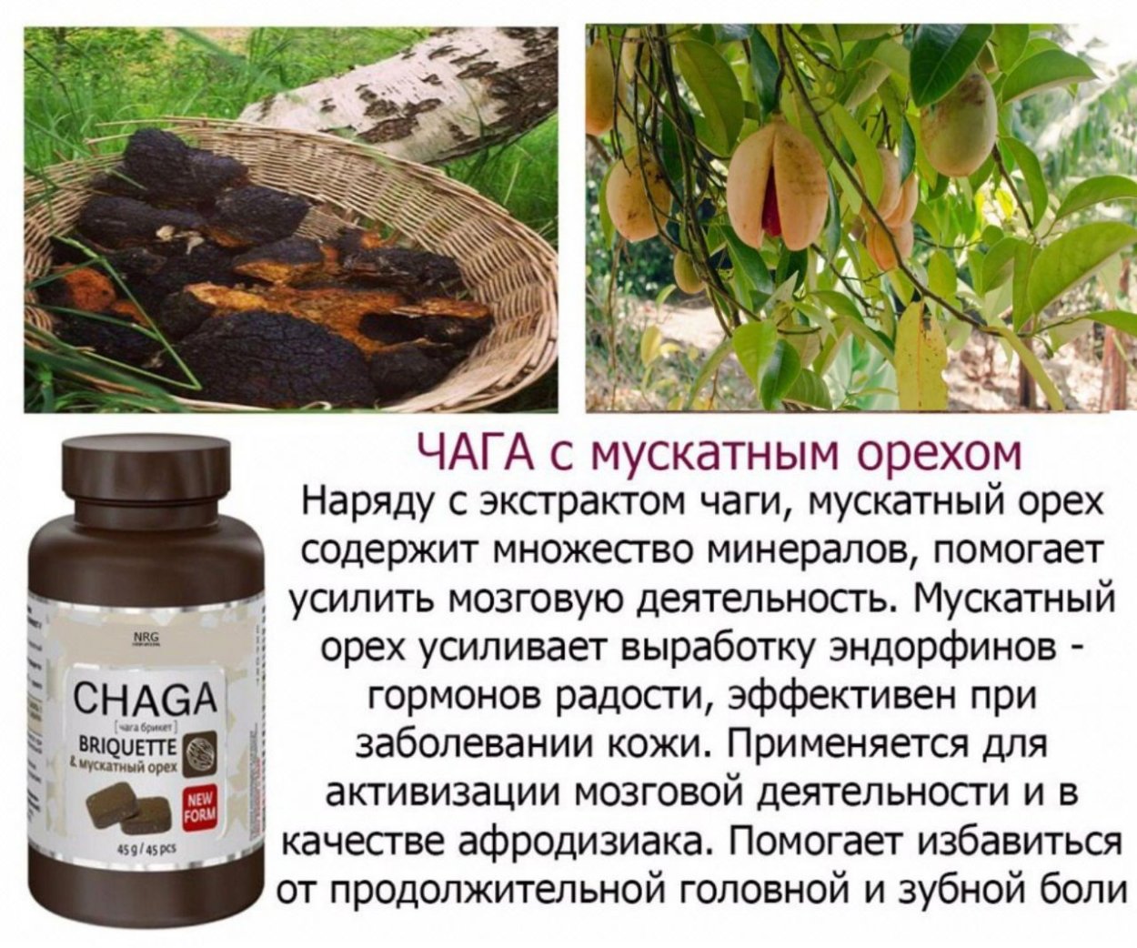 Чага NRG International