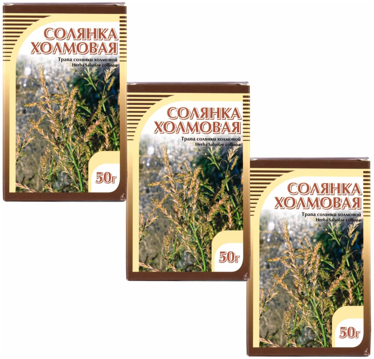Солянка холмовая трава