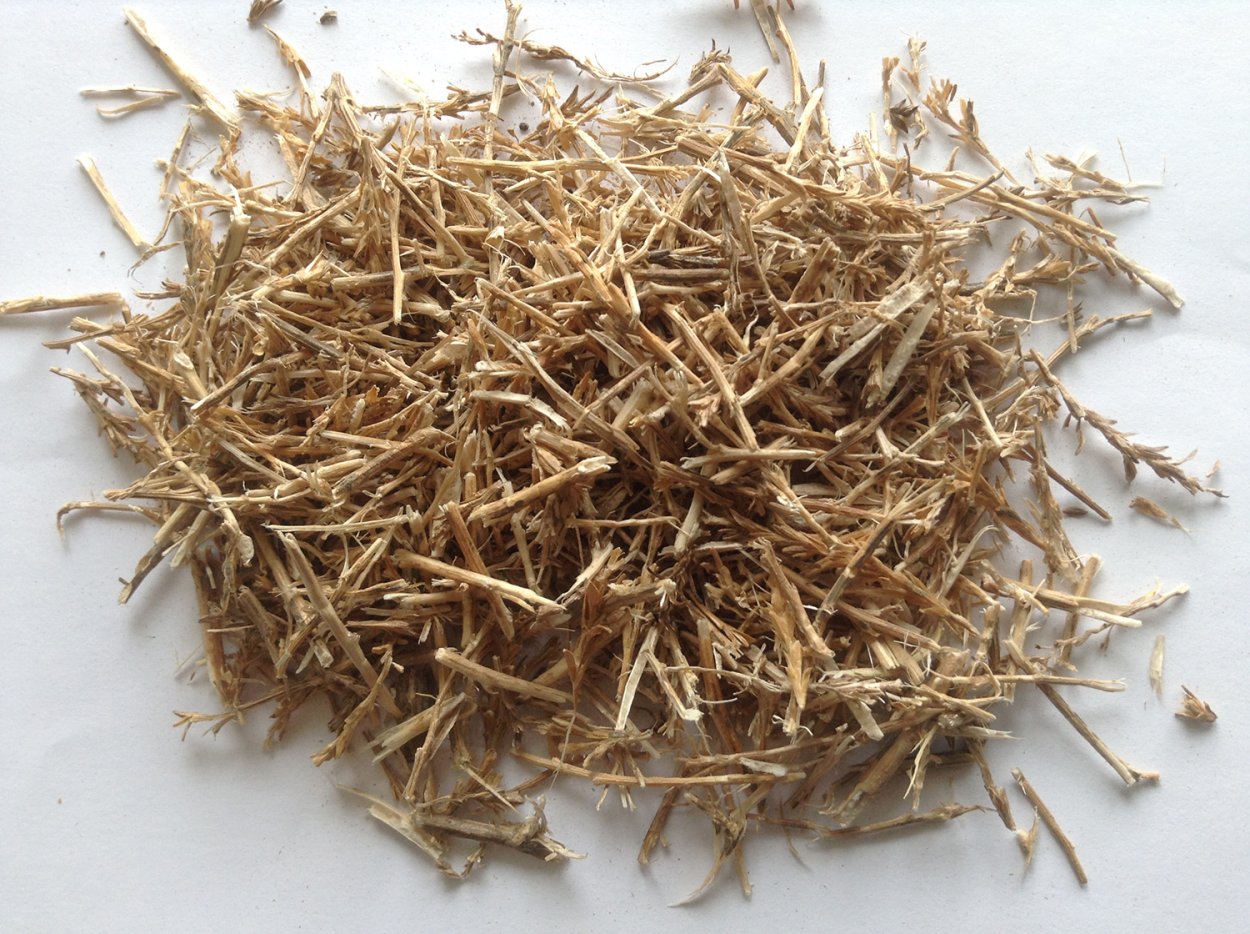 Salsola Tragus l. - солянка сборная