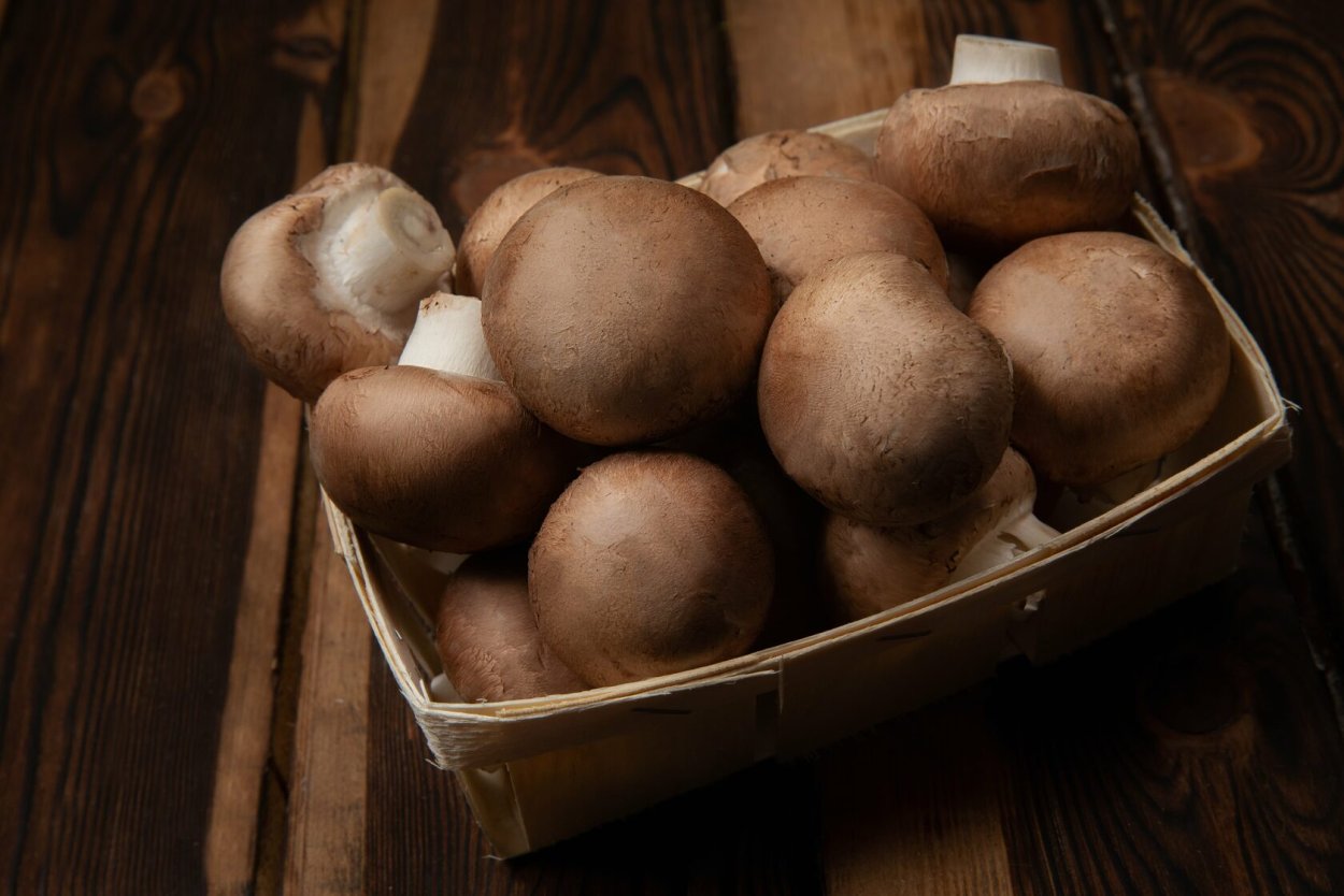 Царский мухомор