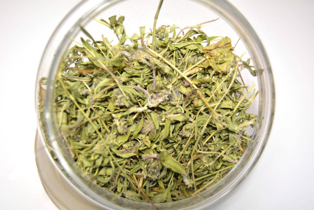 Розмарин тимьян чабрец