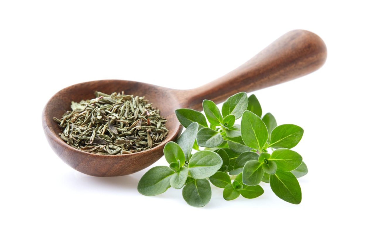 Трава тимьяна обыкновенного