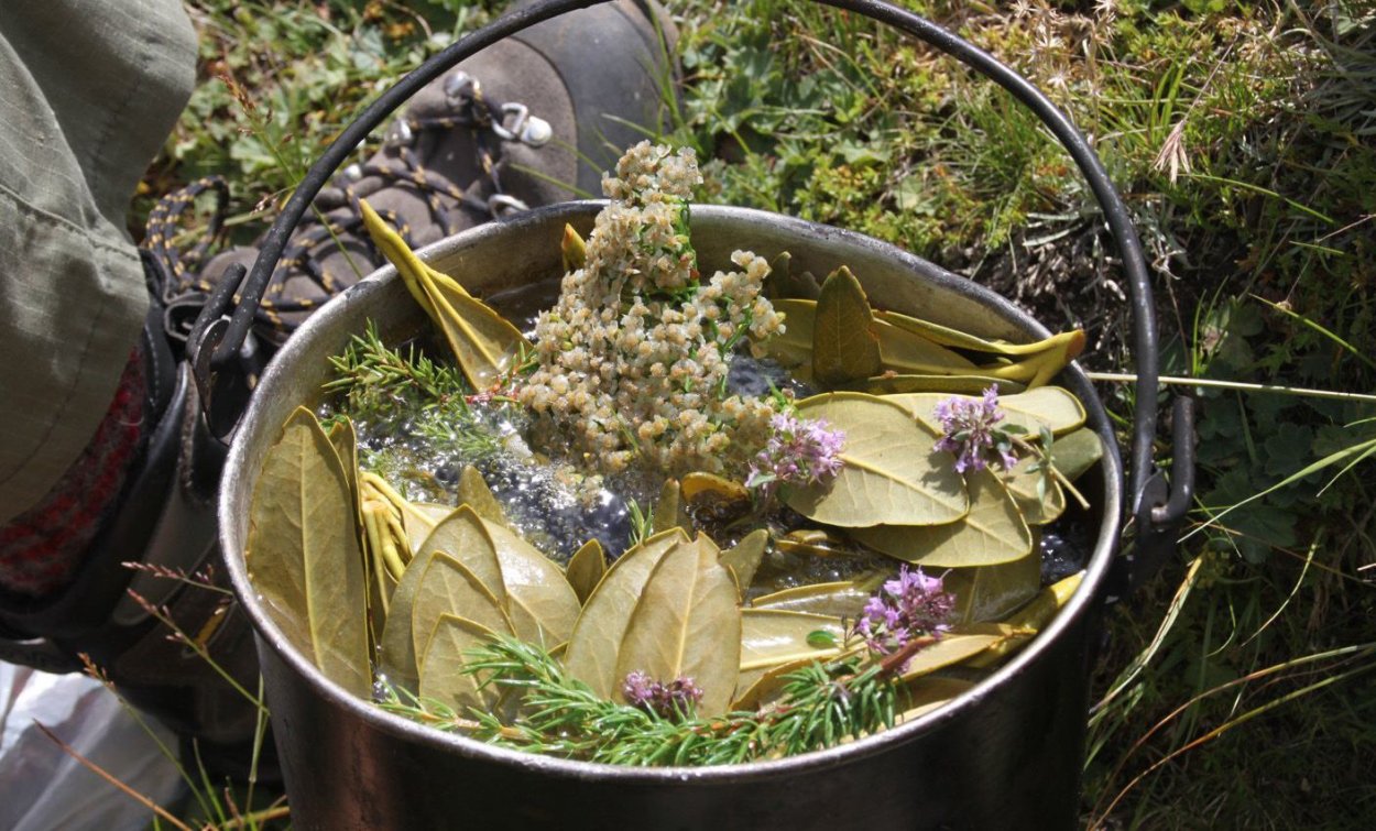 Котелок с травами