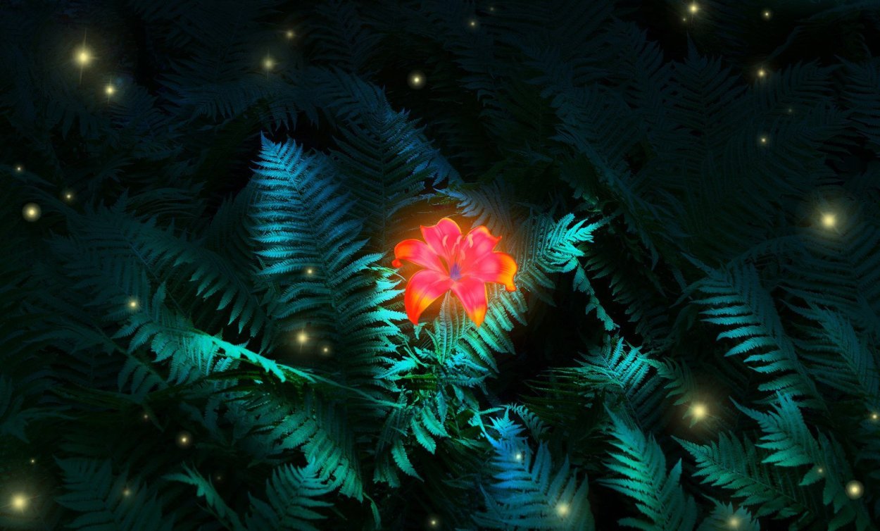 Цветок папоротника на Ивана Купала