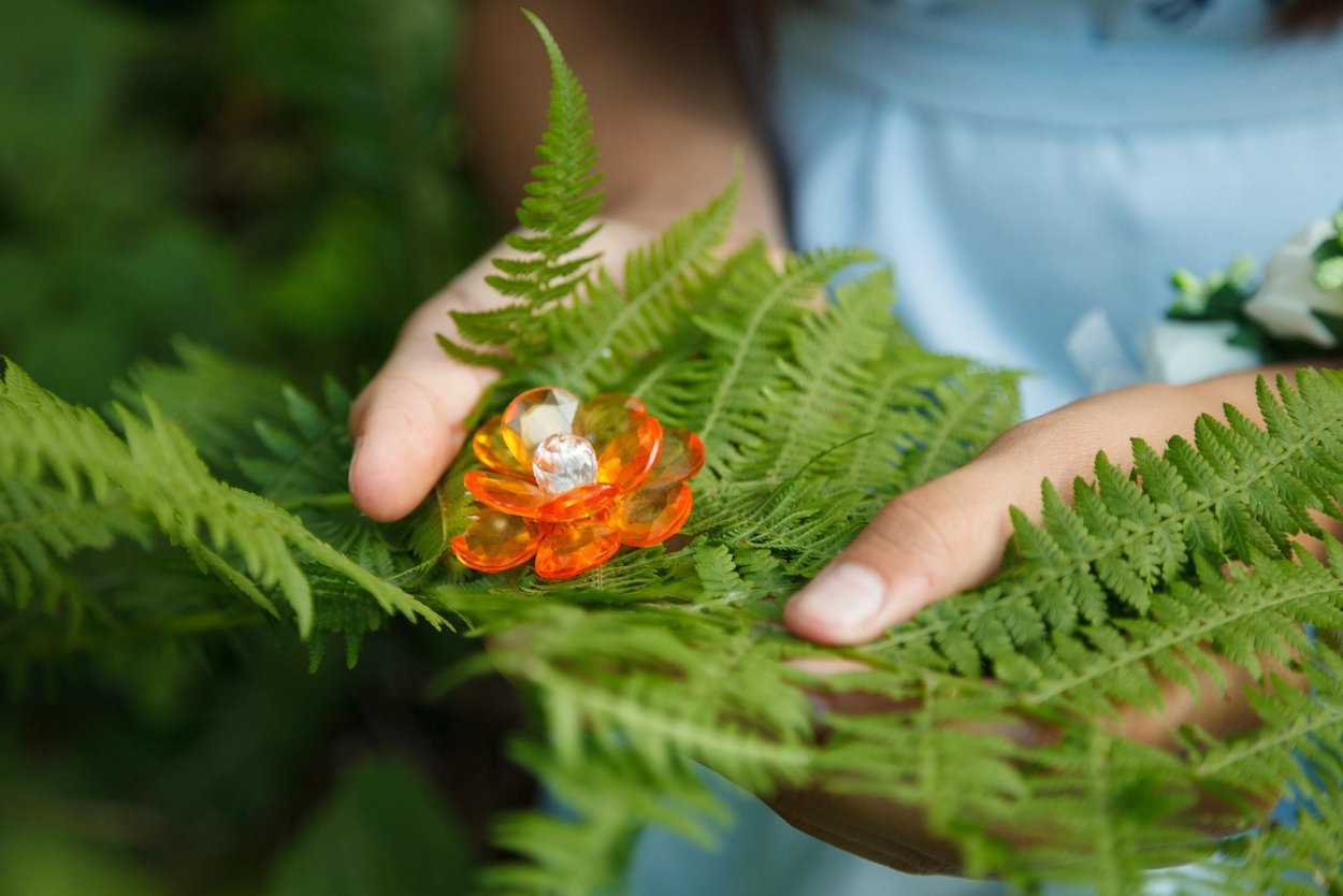 Иван Купала Цветущий папоротник