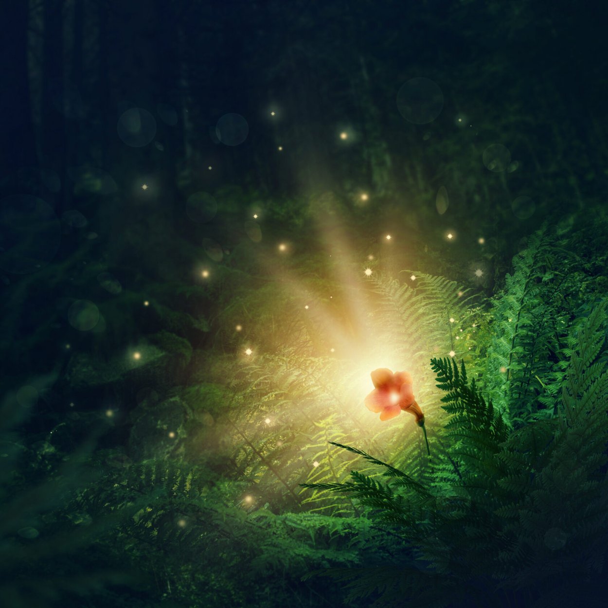 Огненный цветок папоротника