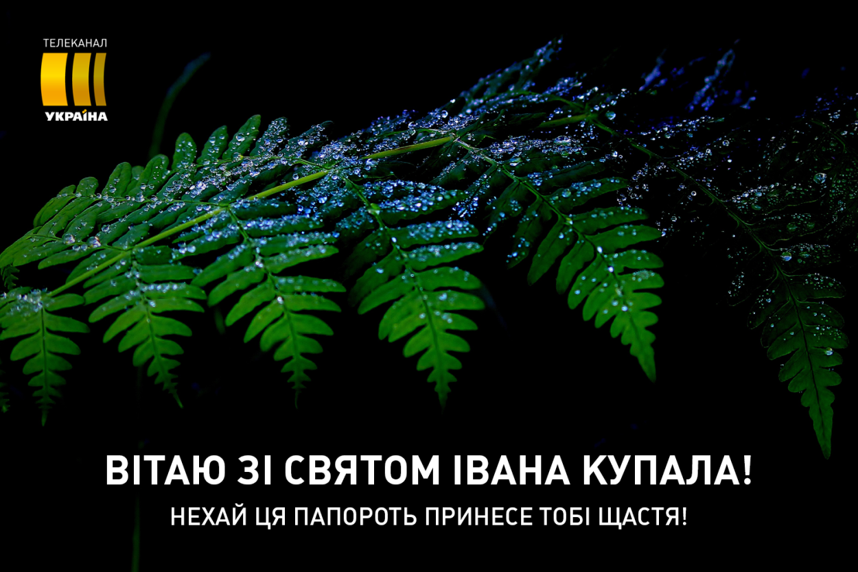 Иван Купала открытки с папоротником