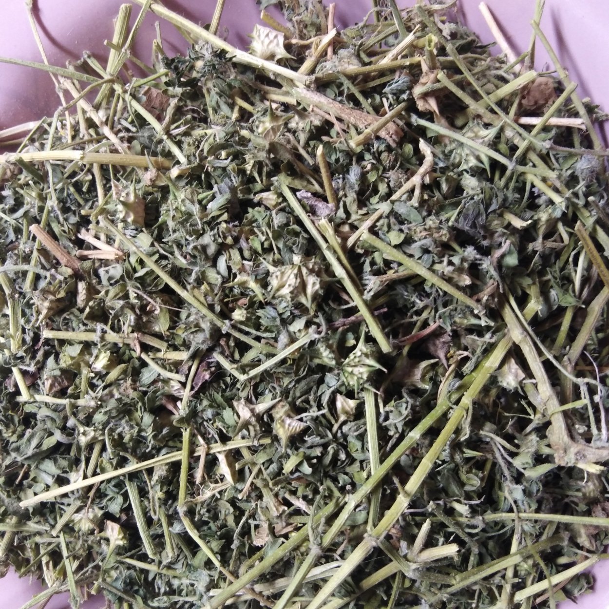 Чай якорцы трава, 50 гр.