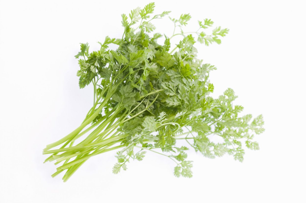 Кервель ажурный сушёный