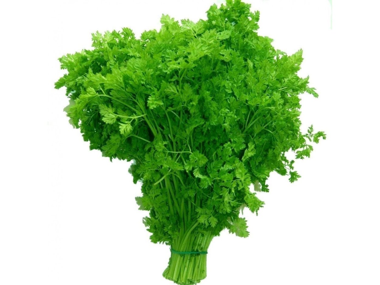 Кирминдюк трава